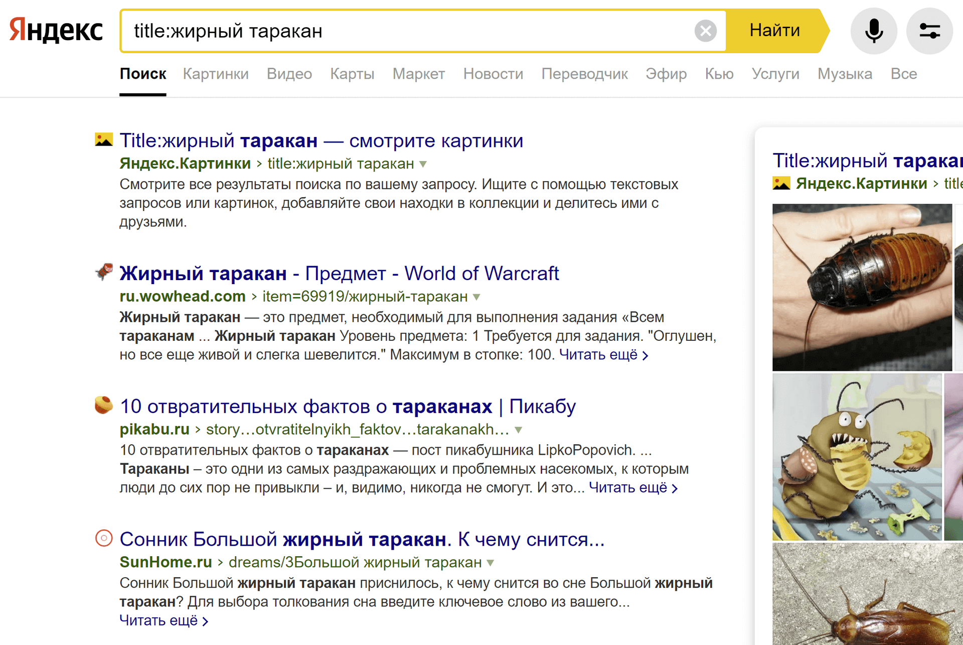Определить Насекомое По Фото Яндекс