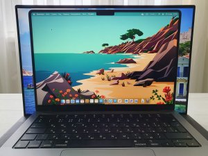 Как вам челка на экране MacBook?