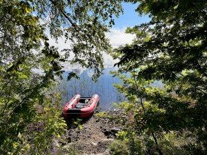 На берегу озера